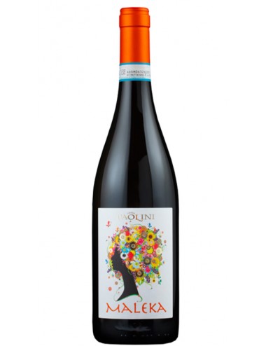 VINO CANTINE PAOLINI...