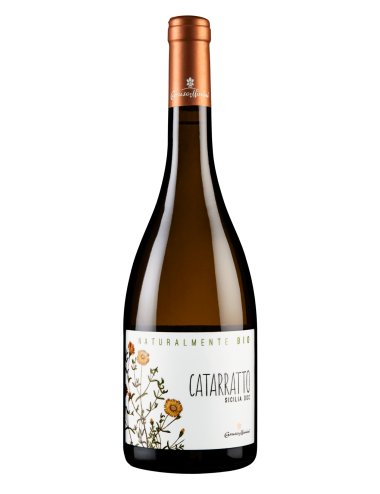 VINO CARUSO & MININI...