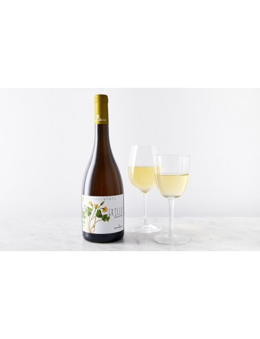 VINO CARUSO & MININI...