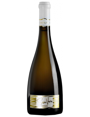 VINO CANTINE PAOLINI...